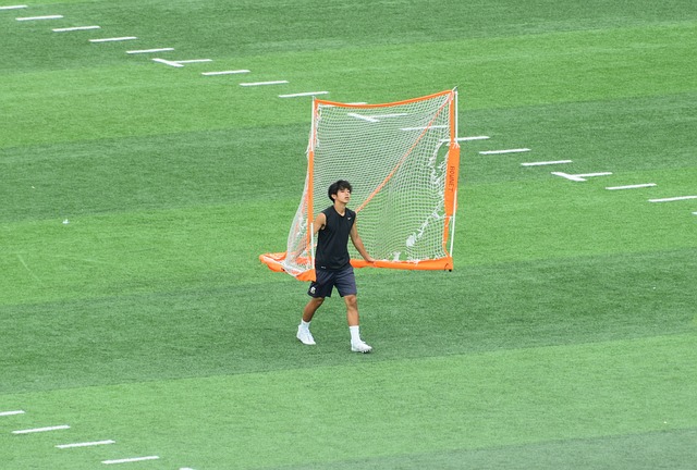 稳健