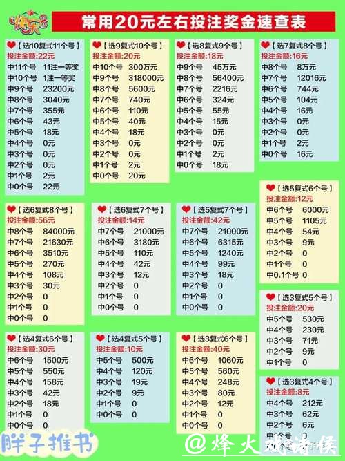 世界杯投注奖金计算方式详解与实例